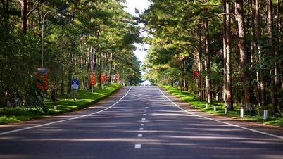 Mang Den មគ្គុទ្ទេសក៍ទេសចរណ៍