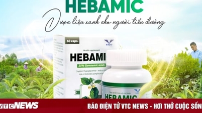 Hebamic: ដំណោះស្រាយសុវត្ថិភាពពី 3 ស្លាបព្រាបាយស្តង់ដារ ដើម្បីជួយរក្សាជាតិស្ករក្នុងឈាមឱ្យមានស្ថេរភាព