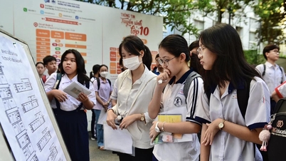 Thông tin mới nhất về thi lớp 10 TPHCM năm 2025