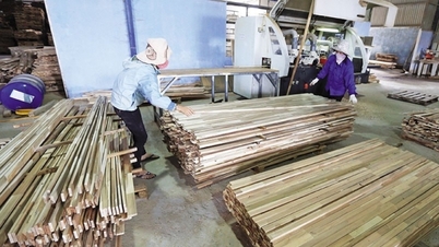 Hụt gần 23 tỷ USD, thị trường Trung Quốc là điểm sáng; Nhật Bản "chuộng" mực, bạch tuộc Việt Nam