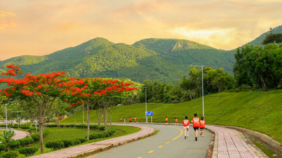 Save Turtles Run 2024 - run for sea turtles, watch the sunset in Con Dao