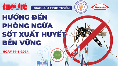 What to do to proactively respond to and prevent dengue fever?