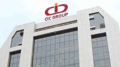 ប្រាក់ចំណេញរបស់ក្រុមហ៊ុន CIC Group (CKG) ធ្លាក់ចុះ 56% បំណុលខ្ពស់លើសលប់