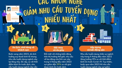 Infographic - ក្រុមការងារដែលមានការថយចុះខ្ពស់បំផុតនៃតម្រូវការការងារ