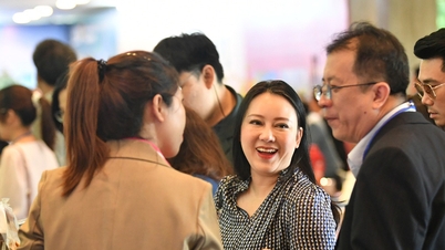 Bình Định xúc tiến đầu tư, thương mại với Thái Lan