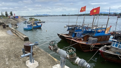 Fishing port worth nearly 185 billion VND, 12 years of exploitation with 0 tons of seafood passing through the port