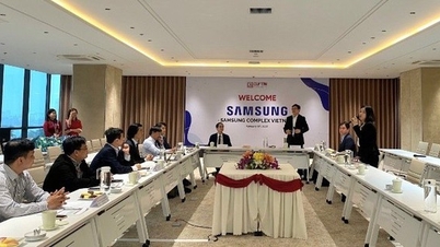 សាកលវិទ្យាល័យ Duy Tan សហការជាមួយ Samsung ដើម្បីឈានមុខគេក្នុងការអភិវឌ្ឍន៍បច្ចេកវិទ្យា