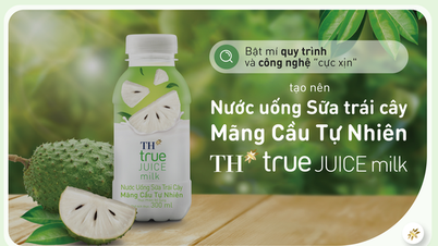 Enthüllung der „supercoolen“ Produktionstechnologie, mit der das von allen geliebte Soursop-Fruchtmilchgetränk hergestellt wird