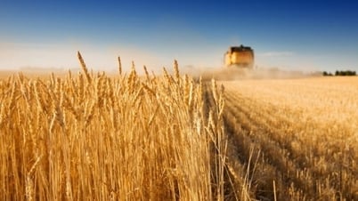 Nga nói thiện chí không thể tồn tại mãi, Liên hợp quốc đánh giá cao một vấn đề