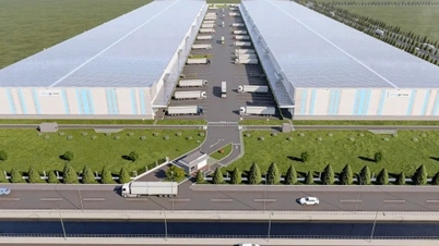 Binh Dinh attracts another 20 million USD project; Hai Phong breaks ground on a 45 million USD steel factory