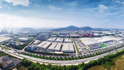 ¿Por qué la empresa del señor Dang Thanh Tam atrae 2,5 billones de dongs?