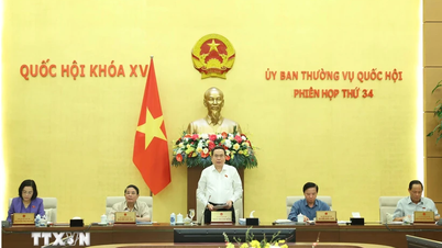 Ủy ban Thường vụ Quốc hội: Rà soát kỹ quy định về tiêu chuẩn đường cao tốc