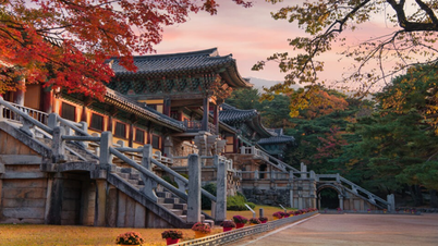 Discover the hidden gems in Korea