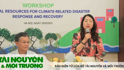 Ứng phó và khắc phục tổn thất tài chính do thảm họa thiên tai