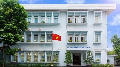 Hanoi and Ho Chi Minh City can maintain the Department of Transport.