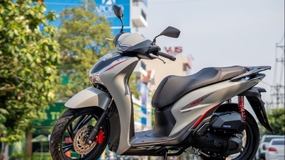 តម្លៃរមៀល SH 2024 នៅទីក្រុង។ ហូជីមិញ ទីក្រុងហាណូយ 01/06/2024