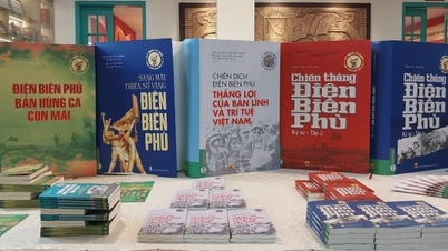 Accurate, objective and diverse documents about the historic Dien Bien Phu Victory