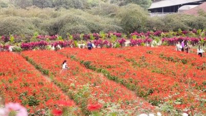 トゥン・ナムの「鳥が巣を作る良い土地」で地上の「楽園の庭」に迷い込む