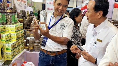 Thăng Bình công nhận 11 sản phẩm đạt chuẩn OCOP 3 sao năm 2024