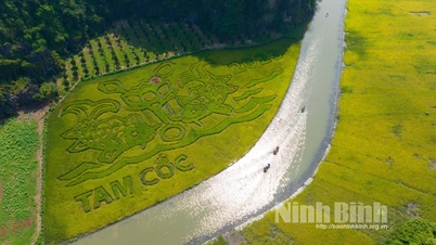 Hoa Lu inspects preparations for Ninh Binh Tourism Week