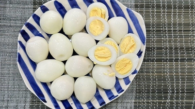 What foods contain good cholesterol?