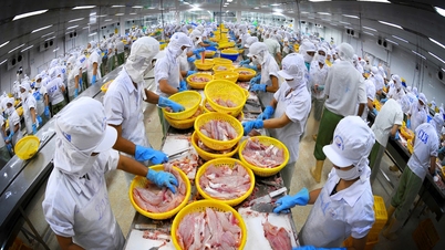 Tăng cường kết nối logistics thúc đẩy tiêu thụ, xuất khẩu nông lâm thủy sản