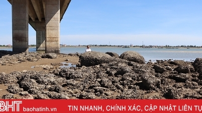Nhà thầu “quên” hàng trăm tấn “rác” đá, bê tông dưới chân cầu Cửa Nhượng