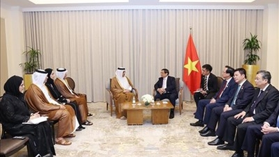 Tiếp tục đẩy mạnh hợp tác lao động giữa Việt Nam và Qatar