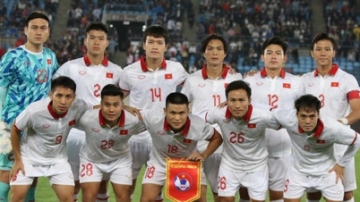 Information on the referee team controlling the match between Vietnam and Iraq teams