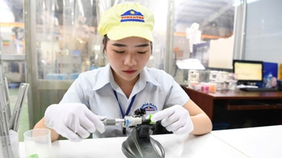 Đồng Nai: Phát triển khu công nghiệp theo mô hình sinh thái xanh