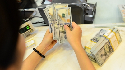 តម្លៃ USD ក្នុងស្រុកកើនឡើងភ្លាមៗមុនពេលកិច្ចប្រជុំរបស់ Fed