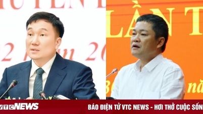Approval of Vice Chairman of People's Committee of Gia Lai and Quang Binh provinces