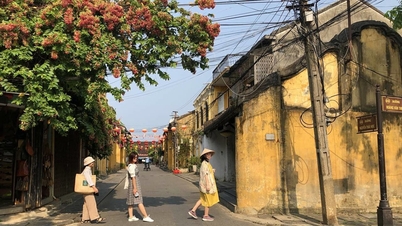 Nhiều khách Việt đi du lịch để 'tìm người yêu, quên tình cũ'