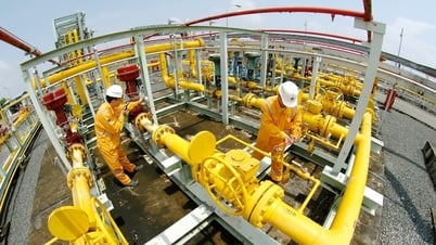 EVN đề nghị nhường khí cho phát điện, PVN nói khó