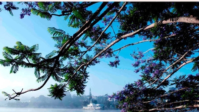 Spring colors in Dalat
