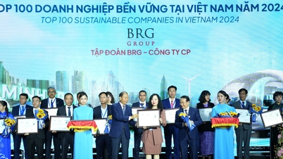 Tập đoàn BRG lần thứ 4 liên tiếp được vinh danh ‘doanh nghiệp bền vững’