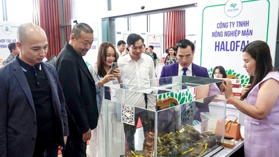 Nhiều doanh nghiệp quốc tế đến Cà Mau tìm đối tác