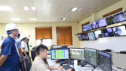 Công ty CP Xi măng và Xây dựng Quảng Ninh: Gắn sản xuất với bảo vệ môi trường