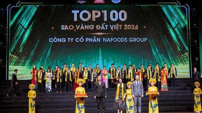 Nafoods Group បន្តជាប់ឈ្មោះក្នុង Top 100 Golden Stars របស់វៀតណាម