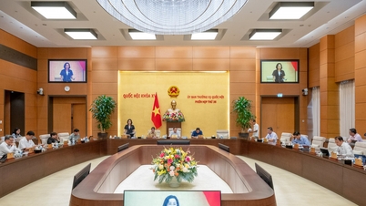 Qua giám sát phải có đề xuất, góp ý cụ thể
