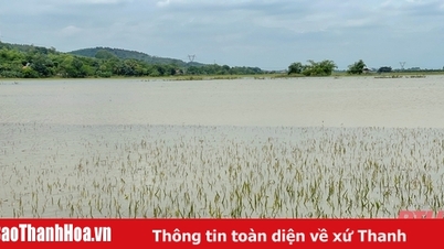 Khả năng xuất hiện mưa rào và dông trên địa bàn tỉnh Thanh Hóa