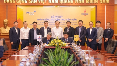 BSR và PVcomBank hợp tác tư vấn thu xếp vốn cho Dự án Nâng cấp mở rộng NMLD Dung Quất