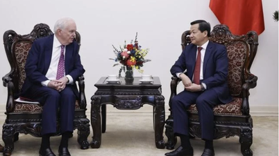 Strengthening substantive and effective cooperation between universities in the United States and Vietnam