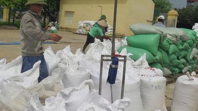 22 mô hình HTX hoạt động hiệu quả gắn với cơ cấu lại ngành nông nghiệp