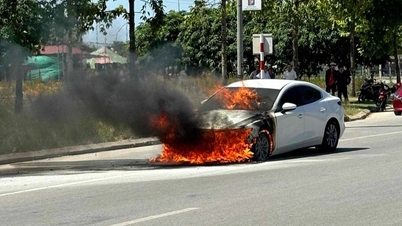 Unexpected cause of Mazda 3 fire in Ha Tinh