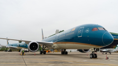 Vietnam Airlines y Vietjet continúan sumando aviones para las vacaciones del Tet