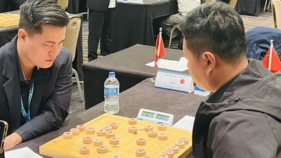 Tras recuperar con éxito la deuda contraída con el ajedrecista chino, Lai Ly Huynh se convierte nuevamente en campeón mundial de ajedrez rápido