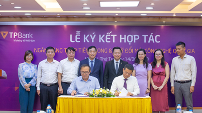 Hỗ trợ doanh nghiệp ứng dụng, chuyển giao và đổi mới công nghệ bằng nguồn vốn ưu đãi