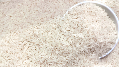Vừa lập kỷ lục, ‘hạt ngọc Việt’ lại nhận tin xấu, nguy cơ hụt thu 700 triệu USD