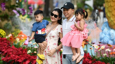Tao Dan Spring Flower Festival attracts visitors on opening day